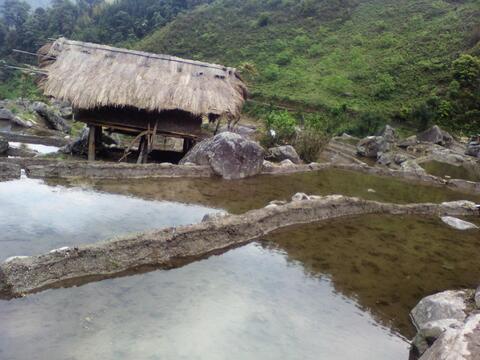 Cangmoo" khung"